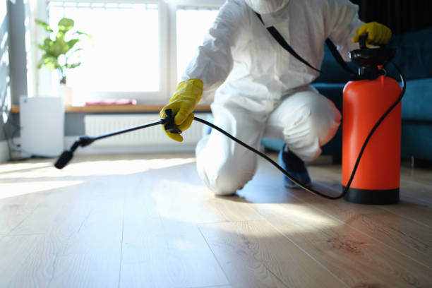 Reliable Infectious Disease Decontamination contractor in Hayden, CO by Trauma Clean Pros
